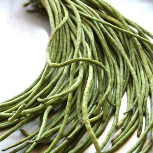 chinese long bean seeds长豆