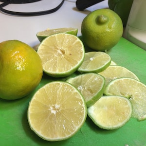 graines du Citrus limetta