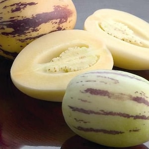 pepino melon seeds/ Solanum muricatum image 1