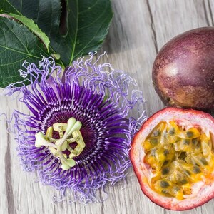 K&ouml;nnte beinhalten: Eine violette Passionsblume mit gelber Mitte, eine ganze Passionsfrucht und eine halbierte Passionsfrucht mit sichtbaren Kernen.