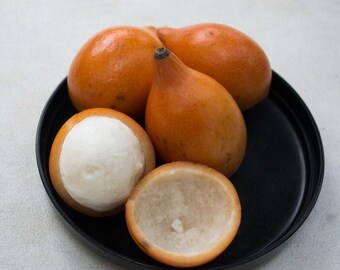 rare achacha seeds/ garcinia humilis