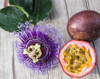 Purple passion fruit seeds Passiflora edulis