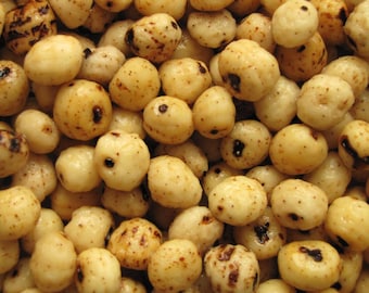 10 tiger nut seeds (for planting)