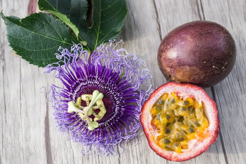 K&ouml;nnte beinhalten: Eine violette Passionsblume mit gelber Mitte, eine ganze Passionsfrucht und eine halbierte Passionsfrucht mit sichtbaren Kernen.