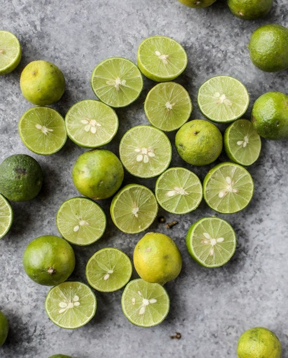 10 key lime seeds