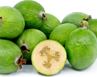Feijoa seeds/Acca sellowiana