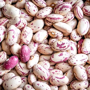 red cranberry/ cargamanto beans