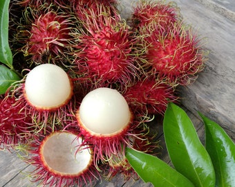 semillas de rambutan