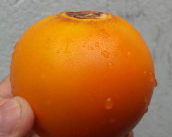 Naranjilla/lulo seeds