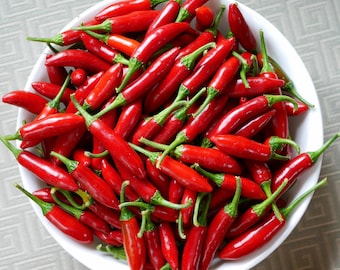 Ambateño Chili Pepper Seeds