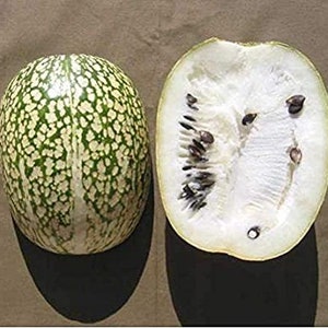 Puede incluir: Un mel&oacute;n verde y blanco moteado cortado por la mitad, revelando una pulpa blanca con semillas negras.