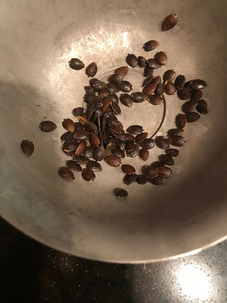 May include: A close-up of a metal bowl filled with dried, dark brown seeds. The seeds are scattered throughout the bowl, with some clustered together.