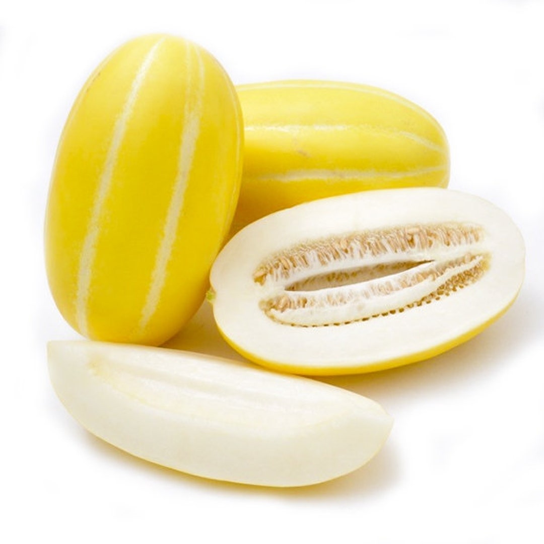 Korean Melon Seeds Etsy
