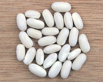 Navy Bean Seeds for growing