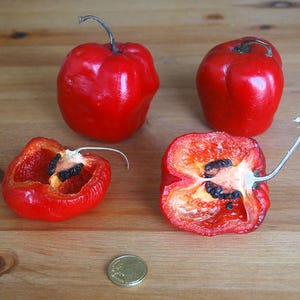Peut inclure: Quatre poivrons rouges, deux entiers et deux coupés en deux, sur une surface en bois. L'un des poivrons coupés en deux montre ses graines.