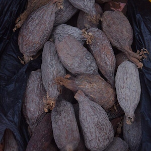 Puede incluir: Primer plano de un montón de vainas secas, marrones y arrugadas en una bolsa de plástico negra. Las vainas están dispuestas en un patrón aleatorio y tienen una superficie rugosa y texturizada.