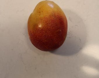 semillas de Mango Haden