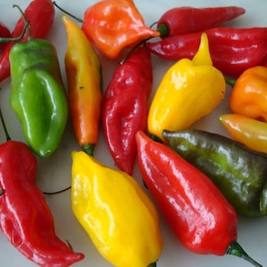 Può includere: Una collezione di peperoncini colorati, tra cui peperoncini rossi, gialli, arancioni e verdi. I peperoncini sono disposti su una superficie bianca.