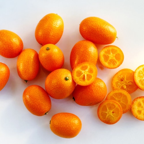 AMERICAN HEIRLOOM CITRUS X PYRIFORMIS 5 FRESH SEEDS GIANT PONDEROSA LEMON AMERICAN HEIRLOOM CITRUS X PYRIFORMIS 5 FRESH SEEDS GIANT PONDEROSA LEMON