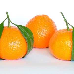 mandarin samen