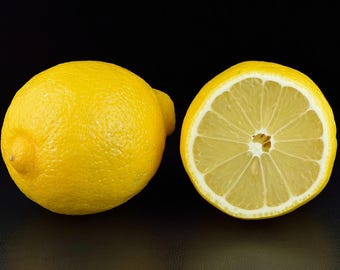 Lemon seeds Citrus × limon