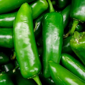 Jalapeno Seeds - Capsicum Annuum