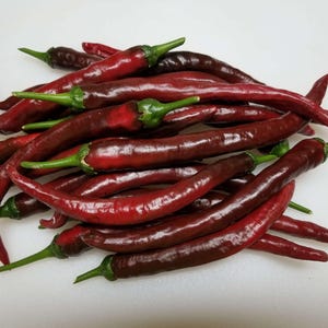 Op de afbeelding: Een bos donkerrode pepers met groene stelen. De pepers zijn lang en dun en liggen in een stapel op een wit oppervlak.
