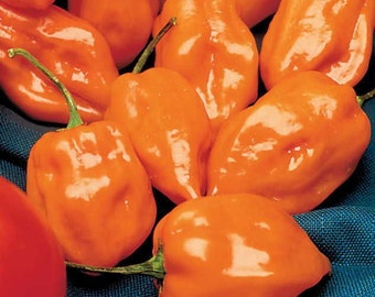 orange habanero seeds