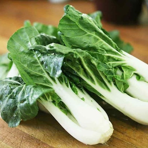 bok choy seeds Brassica rapa