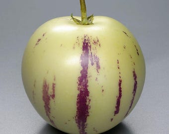semillas de Solanum muricatum