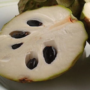 Cherimoya seeds image 1