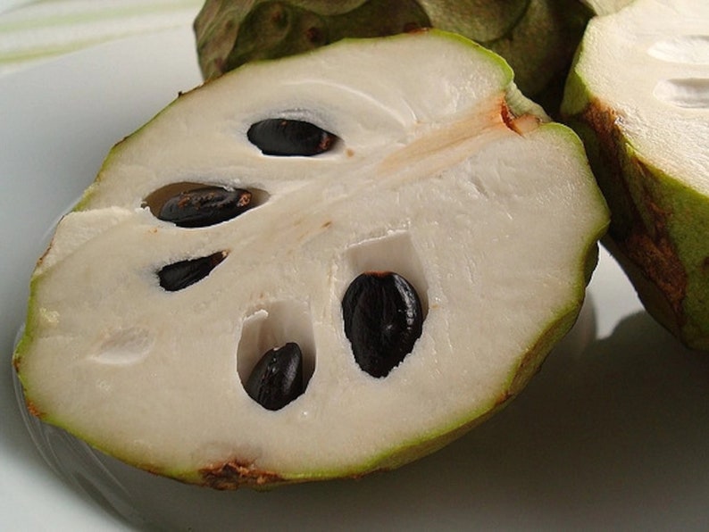 Cherimoya seeds image 1