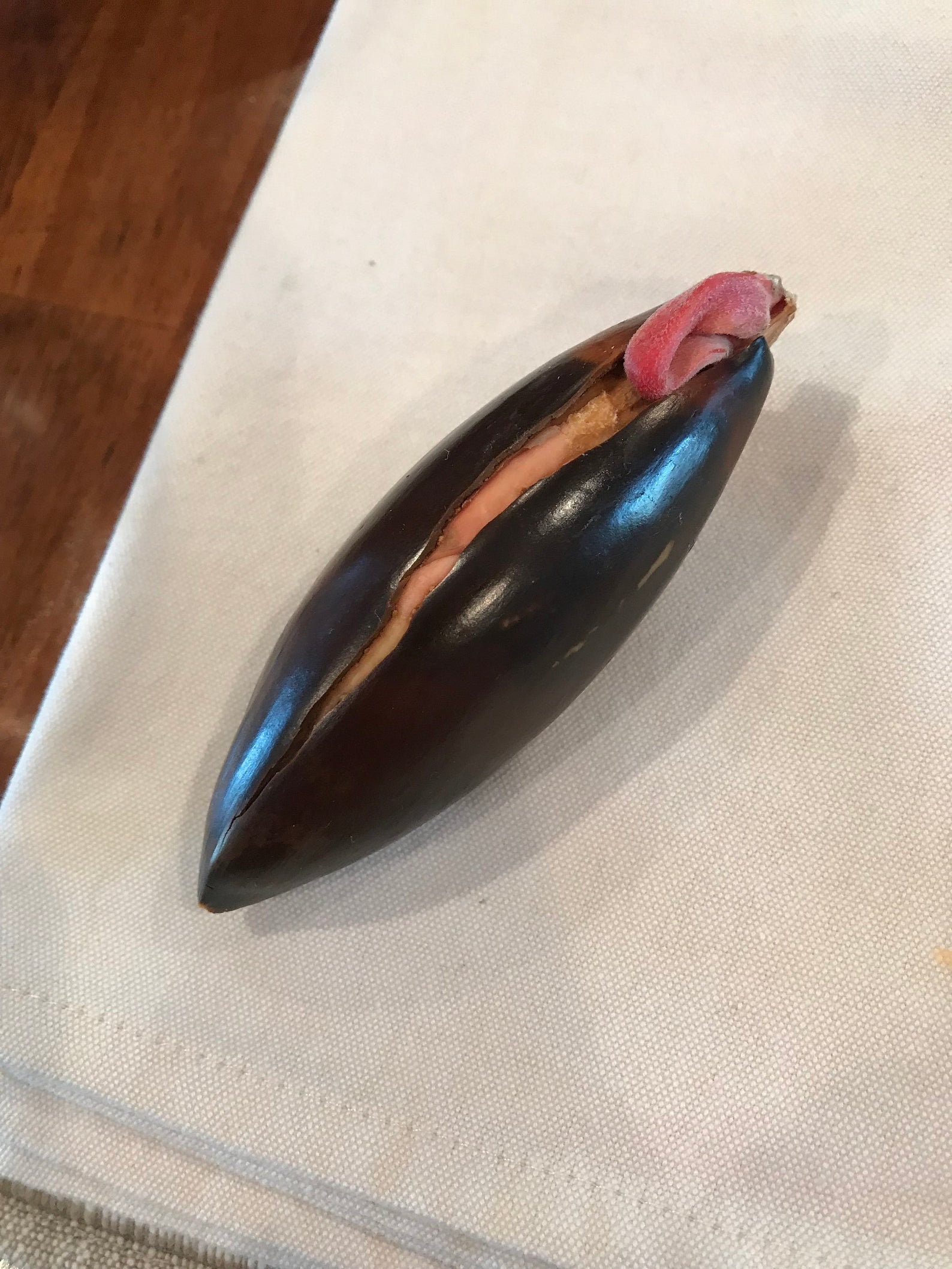 Mamey Sapote Samen Etsy