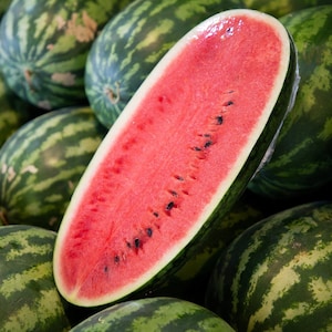 Könnte beinhalten: Nahaufnahme einer aufgeschnittenen Wassermelone mit rotem Fruchtfleisch und schwarzen Kernen. Die Wassermelone ist von anderen ganzen Wassermelonen mit grünen Schalen und dunkelgrünen Streifen umgeben.
