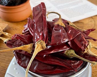 Guajillo pepper seeds
