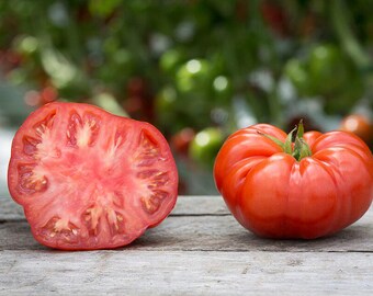 Beefsteak tomato seeds Solanum Lycopersicum