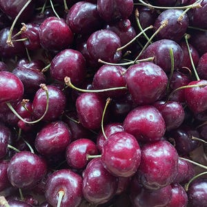 Black cherry seeds