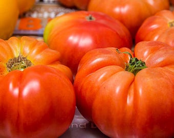 Big Boy Tomato Seeds Solanum lycopersicum