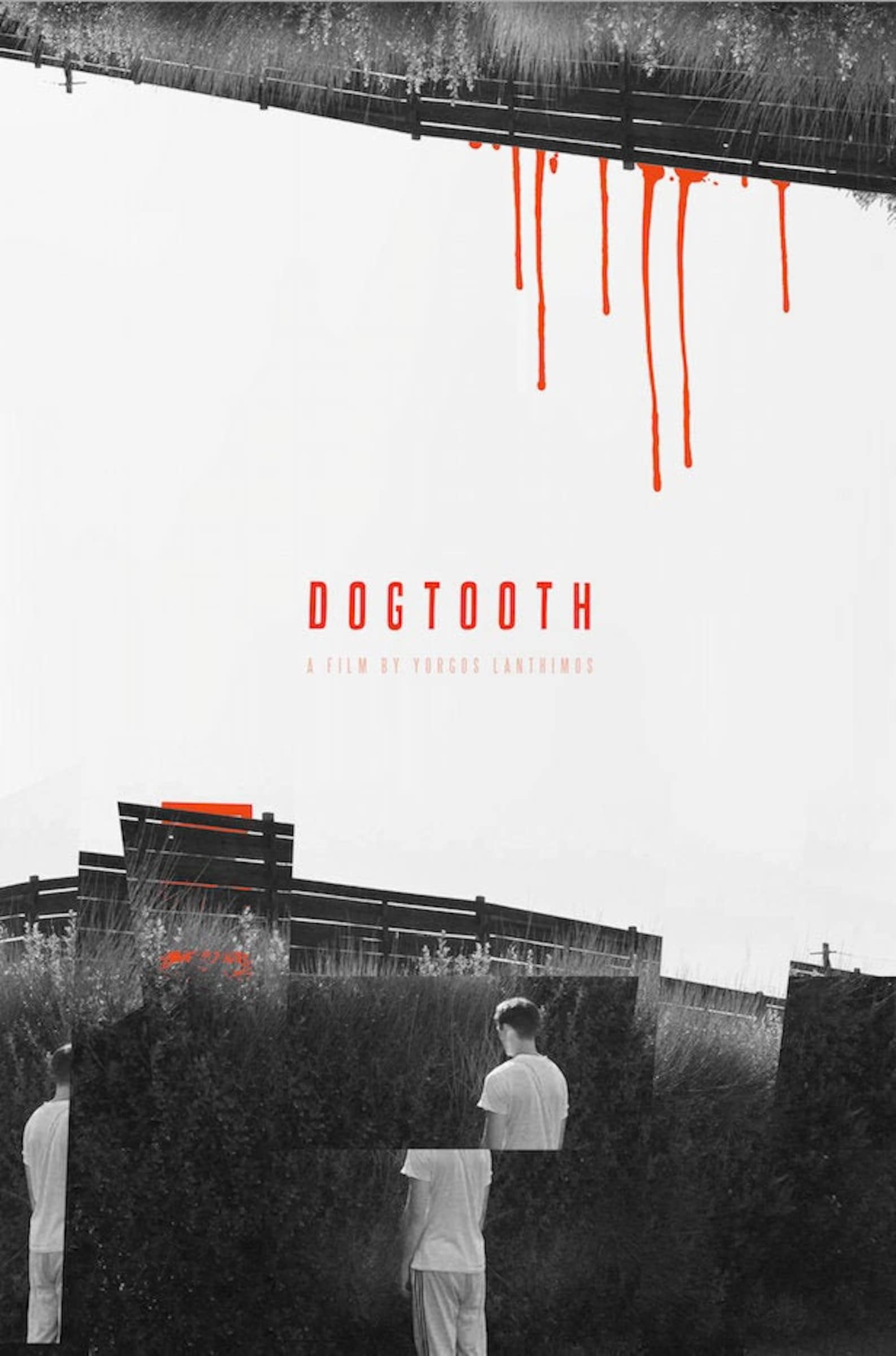 Dogtooth Movie Poster // Dogtooth // Lanthimos // Etsy