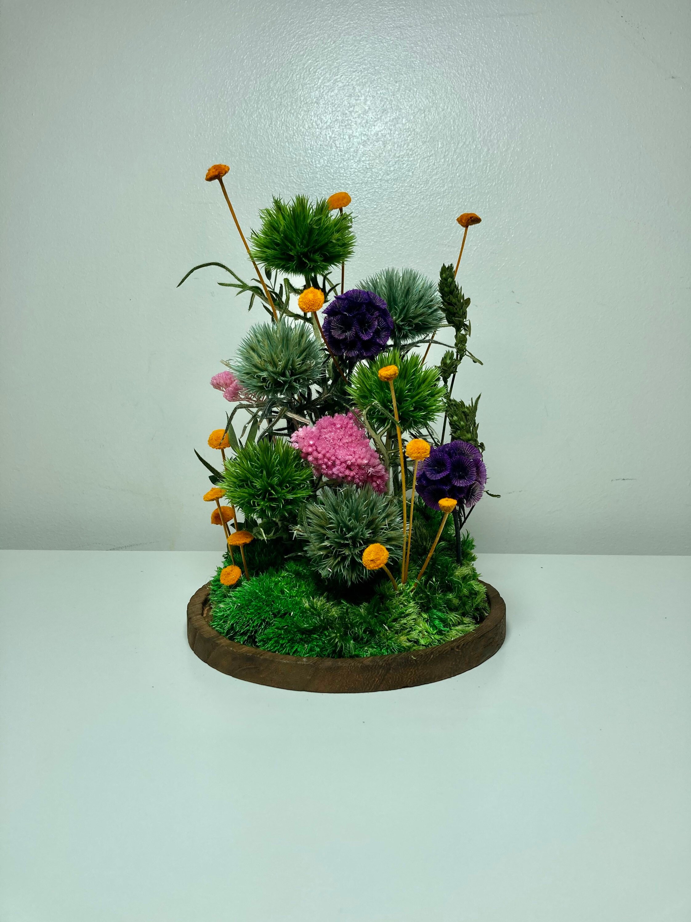 Preserved Moss Art in a Bell Jar. Moss Dome Art No Etsy