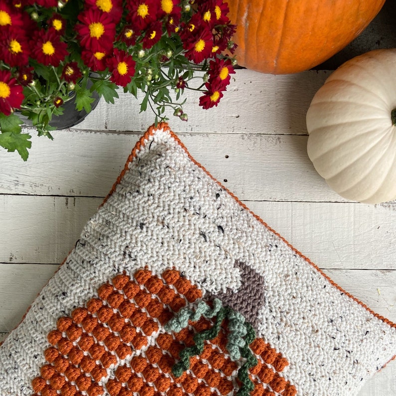 Pumpkin Crochet Pillow Pattern, Crochet Pumpkin, Fall decor, Crochet Pillow cover, Thanksgiving decorations, Autumn Cushion, Pumpkin Decor image 3