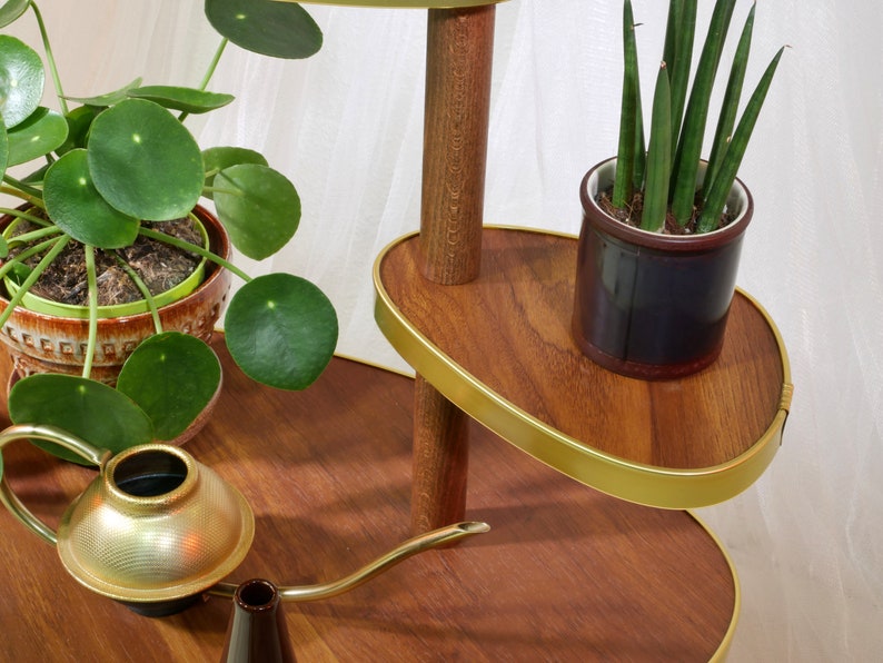 May include: A three-tiered plant stand made of wood with a gold trim. The stand has two oval-shaped shelves and a round base. There are two potted plants on the stand, one with green leaves and the other with long, thin green leaves. A gold watering can is on the bottom shelf.