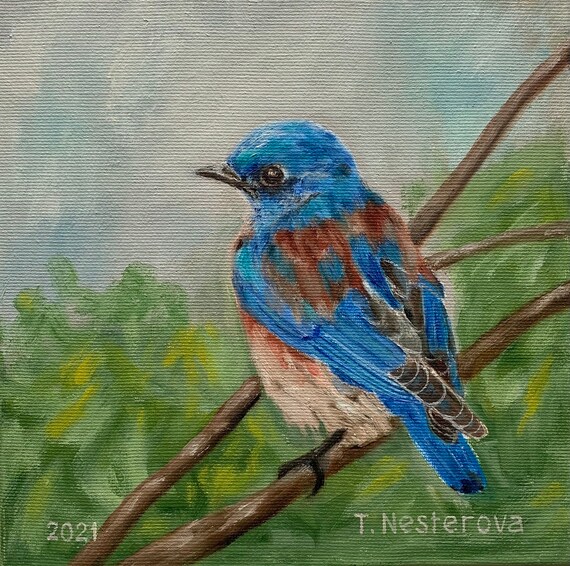 8 x 8インチの鳥の絵画。青い鳥。キャンバスに描かれた油絵。壁飾り