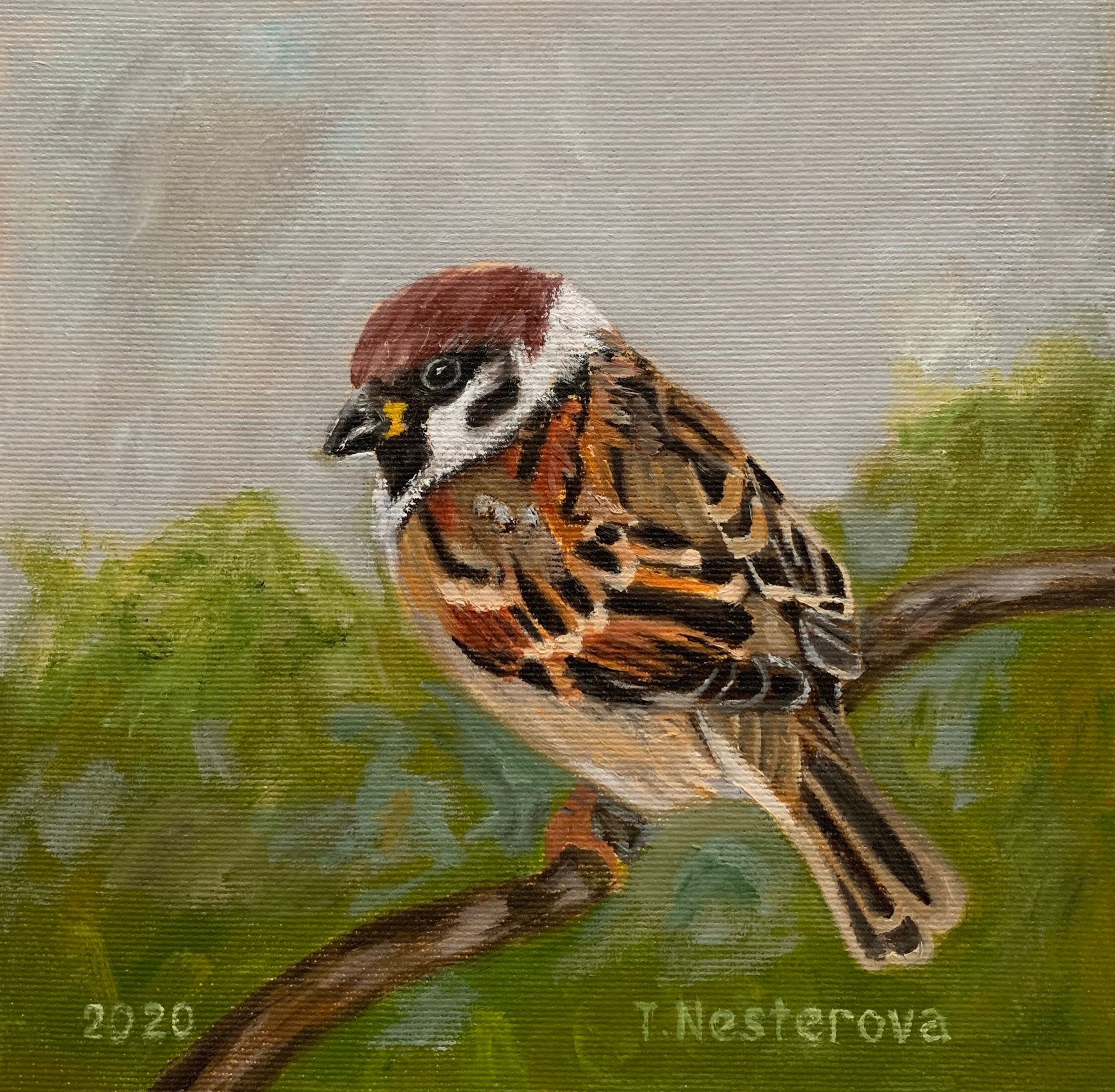Oiseau moineau. Peinture à l'huile originale sur toile 20 x 20 cm. Décoration murale pour la maison. Oeuvre d'art originale. Meilleures idées cadeaux