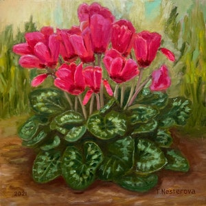 Garden flowers Red pink cyclamen. Original Oil painting on canvas 12x12 inches. Home wall decoration. Floral artwork
