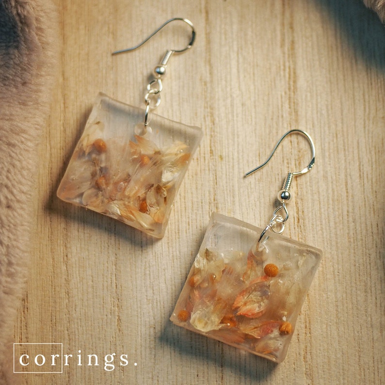 Neutrals ombre resin earrings