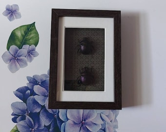 Purple dung beetle shadowbox wall decor