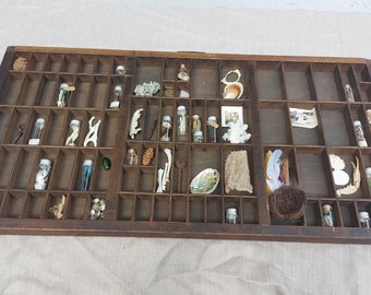 Miniature oddities/collectibles mystery box