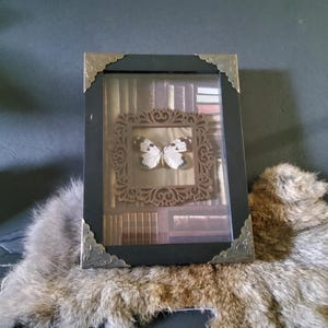 May include: A framed butterfly display. The black frame has decorative corner pieces and a clear front. Inside, a butterfly is centered within a decorative frame, set against a backdrop of miniature books. The display rests on a furry surface.