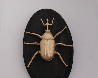 Fake beetle weevil plaque kids bedroom classroom decor